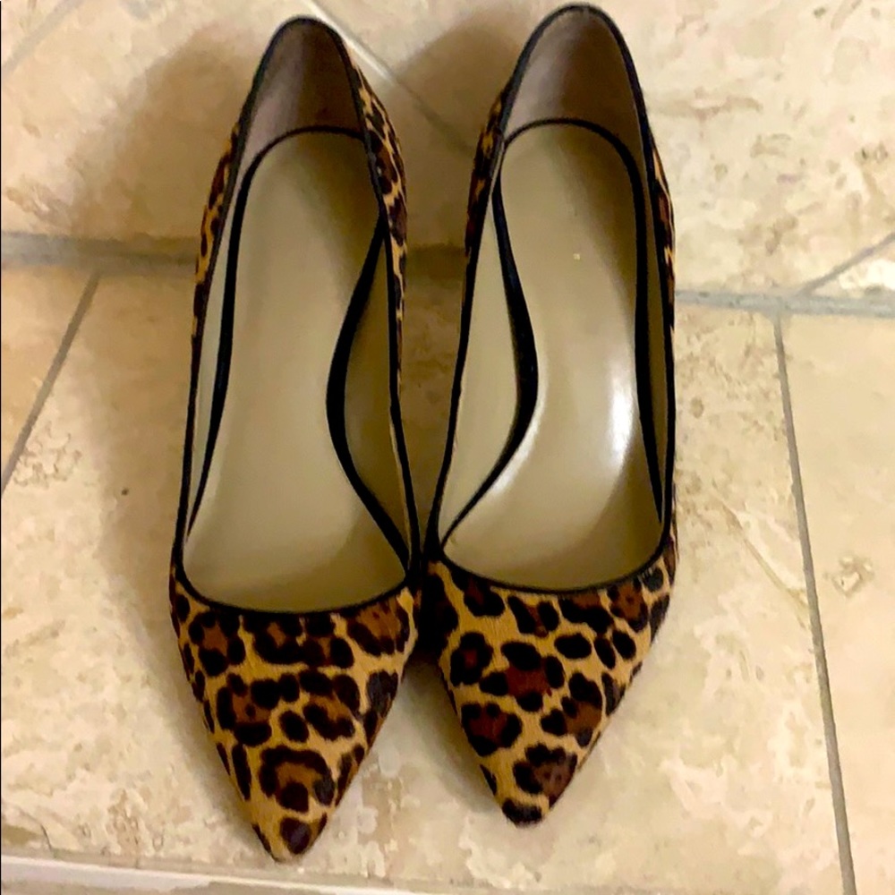 Ann Taylor Mila Leopard Print Haircalf Pump